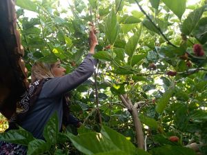 30 yıldır üretip satıyor