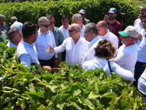 Manisa’da biyoteknik mücadele ile sağlıklı ve kaliteli ürün