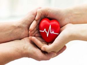 Türkiye organ naklinde yüzde 72’lik oranla ikinci sırada