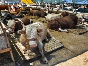 E-ticarette ‘Bayram’ bereketi