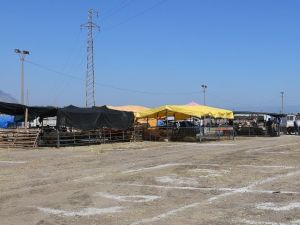 Turgutlu Hayvan Pazarında kotralar satışta