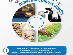 Kurban bayramı öncesi ’Kist Hidatik’ hastalığı uyarısı