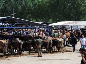 Simav’da kurban pazarı açıldı