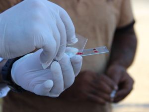 Manisa’da sıtmayla mücadele hız kesmeden devam ediyor