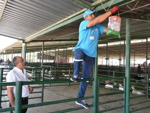 Canlı Hayvan Borsası ilaçlandı