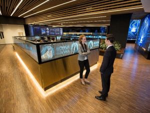 Borsa ilk yarıda yükseldi