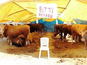 İzmirliler kurban almak için Arife Gününü bekliyor