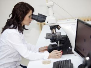 Polenin doğurganlık arttırıcı etkisi