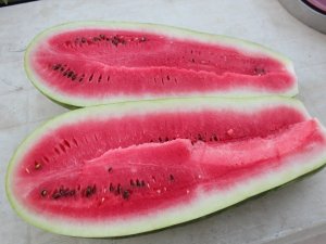 Suudi Arabistan’da tadına baktı Türkiye’de üretti