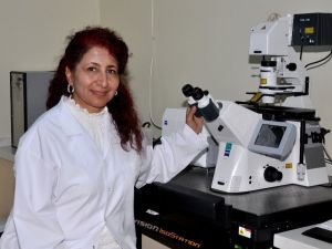 Karaciğer kanserini yapay zekâ tedavi edecek