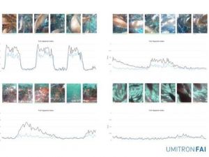UMITRON, Fish Appetite Index’i piyasaya sürdü
