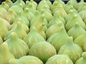 Torbalı’da "Bardacık İnciri Festivali"