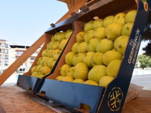 Germencik tanıtılacak, çiftçi kazanacak