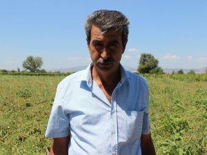 Ziraat Odasından tarım işçilerinin yaşam şartlarını iyileştirme çağrısı