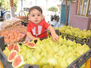 Torbalı, incir festivaliyle şenlendi, üreticiler bayram etti