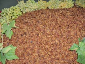 Kuru üzüm 99 ülkeye ihraç edildi