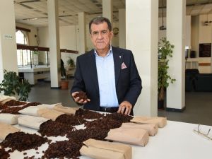 Çekirdeksiz kuru üzüm ihracatı 500 milyon doları aştı