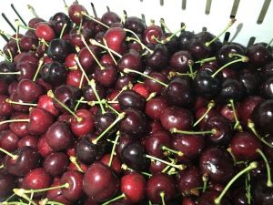 Taze kiraz, üzüm ve nar ihracatçıları yeni ihracat rekorları için kümeleniyor