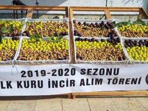 Nazilli’de sezonun ilk inciri 250 TL’den alıcı buldu