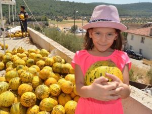 Urla "sarı kokulu" festival ile coştu