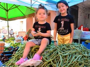 Binlerce kişi Börülce Festivaline akın etti