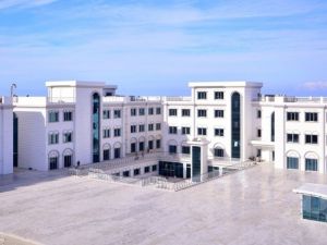 Rahim ağzı kanserini yenen hasta, çocuk sahibi olabilecek