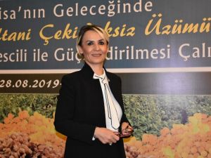 Manisa Çekirdeksiz Sultani Üzümü, AB tescili yolunda