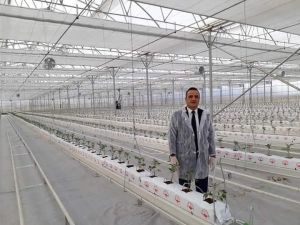 Kırsal kalkınma yatırımlarına yüzde 50 hibe desteği