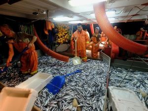 Başkan Günel balıkçılarla birlikte “ Rastgele “ dedi