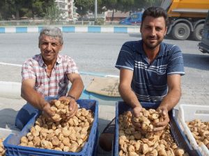 Kuru incir pazarda 40 TL’ye kadar alıcı buluyor
