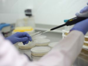 PAÜ’nün 4 projesi birden TÜBİTAK tarafından destek aldı