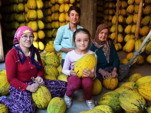 Kırkağaç’ta 30 bin ton kavun askıda