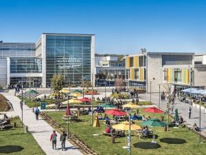 Özyeğin Üniversitesi ’mezunları en hızlı iş bulan üniversiteler’ sıralamasında ikinci kez zirvede