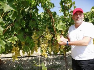 Ziraat Odası Başkanı Cem Yalvaç: “Hak yerini buldu”