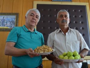 İncir üreticisinin keyfi yerinde