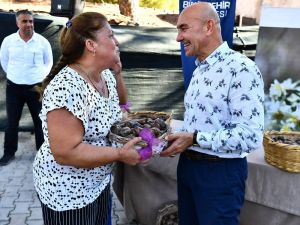 Karaburun yeniden nergis kokacak