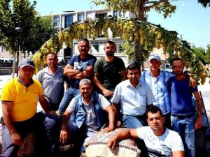 Sarıgöl’de festival anılarını ölümsüzleştirdiler