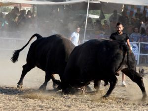 İspanya değil, Muğla