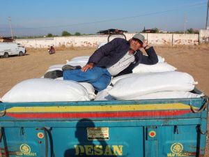 TMO kuru üzüm alımlarına başladı