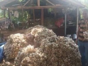 Kütahya’dan Osmanlı Saraylarına giden şifa kaynağı