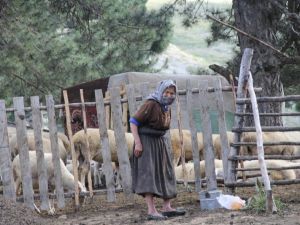 Yörüklerin gelir kapısı Akdağ