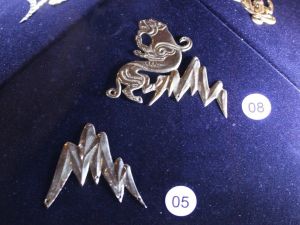 ‘Altın Elbiseli Adam’ Ankara’da