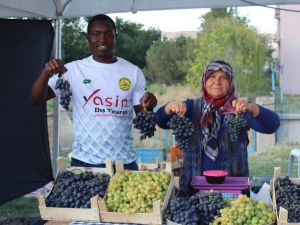 5 yıl aradan sonra Kalecik yeniden festival heyecanı yaşadı