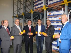 Egeli yaş meyve sebze ihracatçıları, Kuzey Makedonya pazarında ilgi gördü