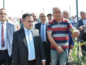 Simav’da ’Goji Berry’ projesi