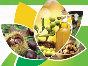 Aydınlı çiftçiye 55 milyonluk organik ve iyi tarım desteği