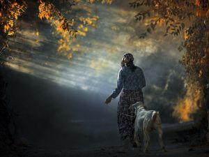 Muğla’da yaşamı anlatan en iyi kare belli oldu