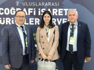 Aydın Kestanesi zirvede