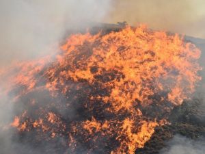 Orman yangınları erken uyarı sistemiyle engellenecek