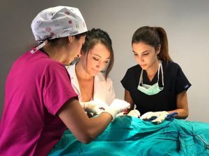 Manisalılar estetik ameliyatları sevdi